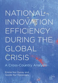 Cover image: National Innovation Efficiency During the Global Crisis 9781137582546