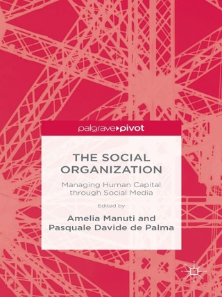 Imagen de portada: The Social Organization 9781137585349