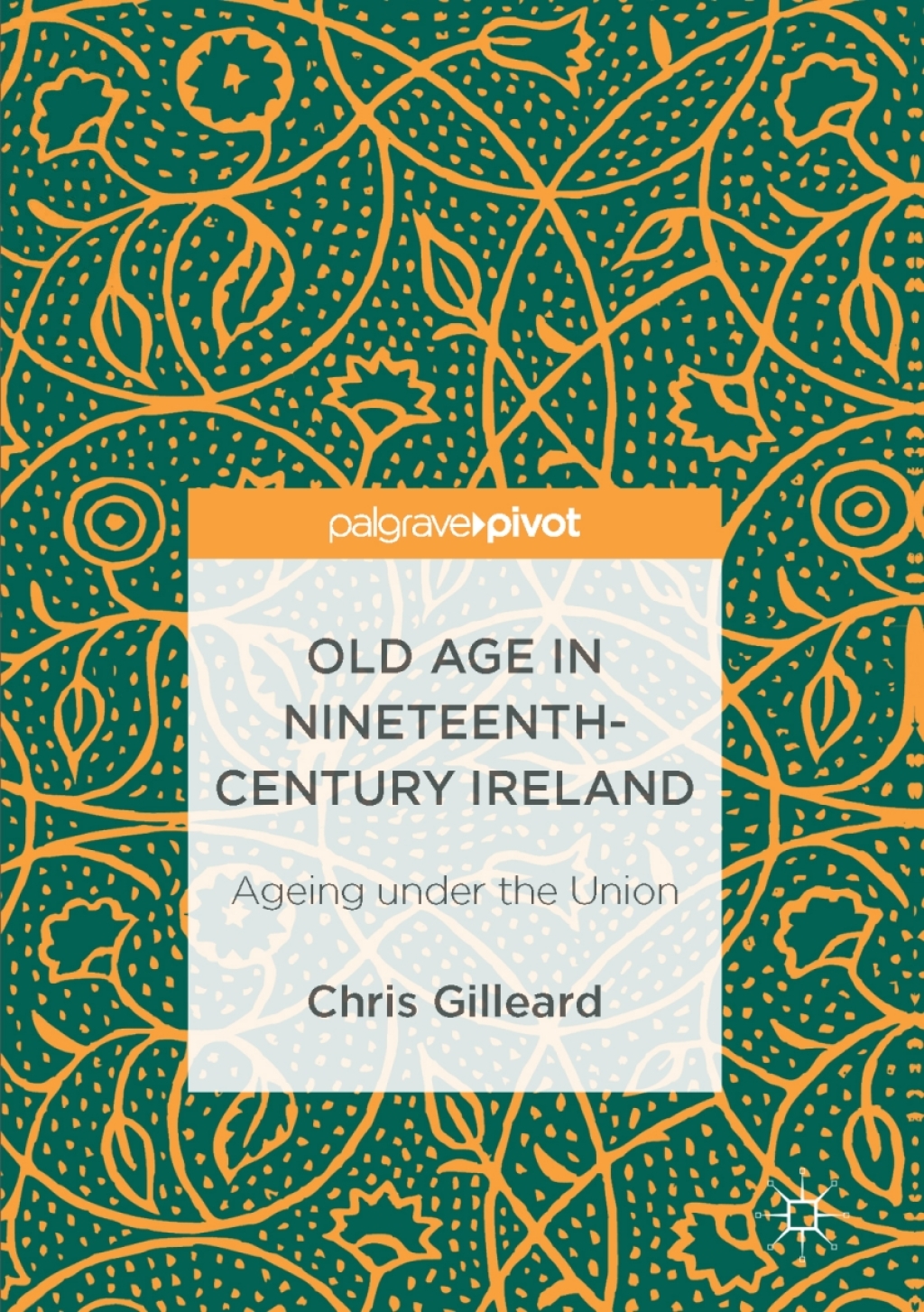 Old Age in Nineteenth-Century Ireland Ageing under the Union