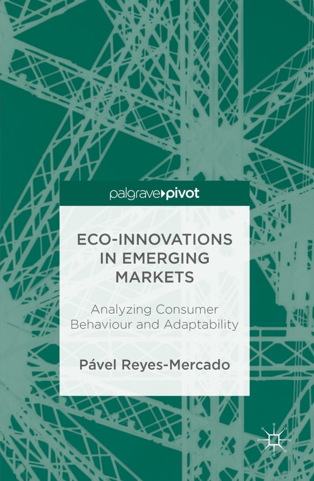 Eco-Innovations in Emerging Markets Analyzing Consumer Behaviour and Adaptability
