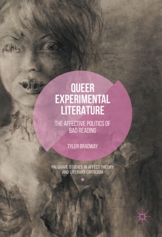 Omslagafbeelding: Queer Experimental Literature 9781137596659