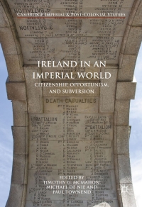 Cover image: Ireland in an Imperial World 9781137596369