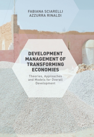 Titelbild: Development Management of Transforming Economies 9781137599100