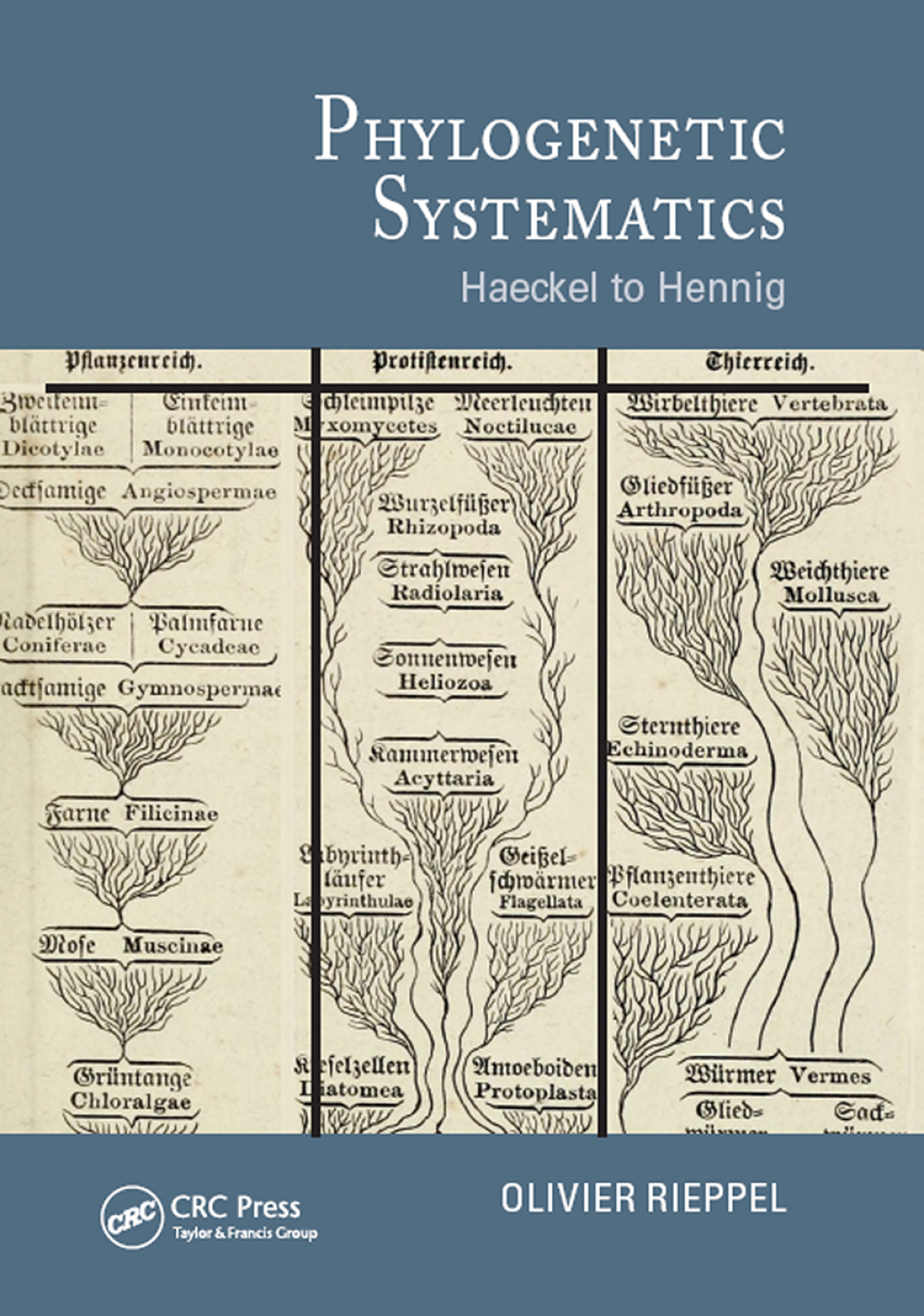 Phylogenetic Systematics Haeckel to Hennig 1st Edition