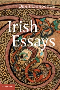 صورة الغلاف: Irish Essays 9781107006904