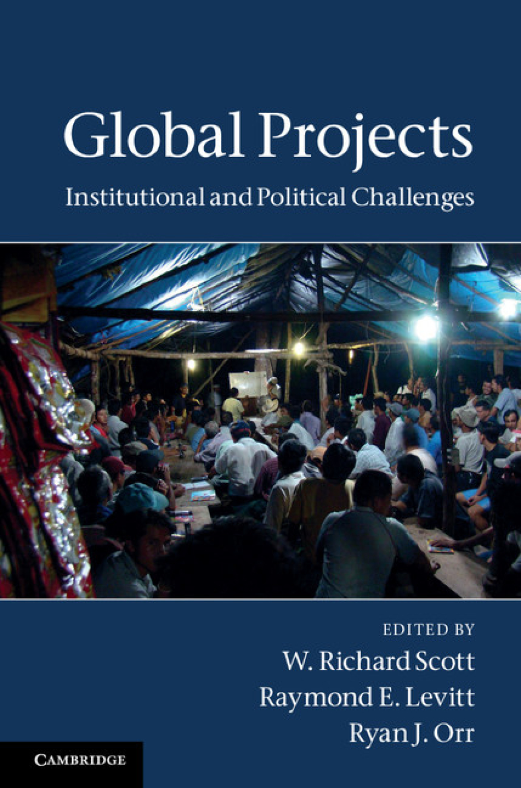 Global Projects Institutional and Political Challenges 1st Edition