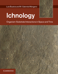 Cover image: Ichnology 1st edition 9780521855556