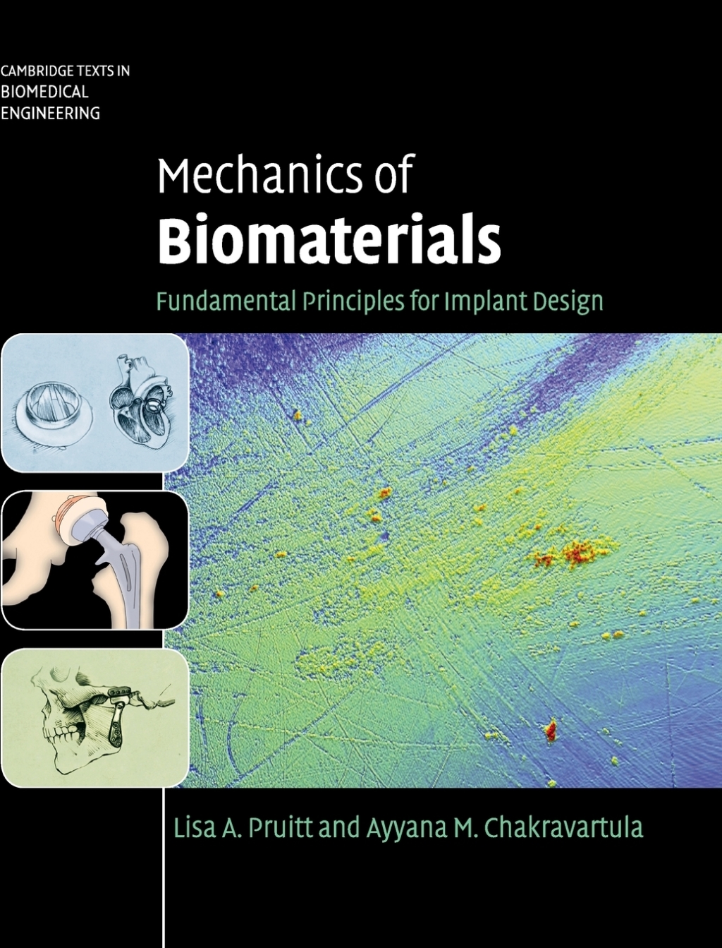 Mechanics of Biomaterials Fundamental Principles for Implant Design 1st Edition