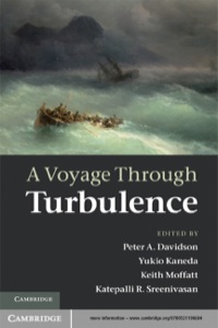 表紙画像: A Voyage Through Turbulence 1st edition 9780521198684