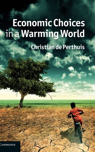 Omslagafbeelding: Economic Choices in a Warming World 1st edition 9781107002562