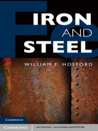 Cover image: Iron and Steel 1st edition 9781107017986