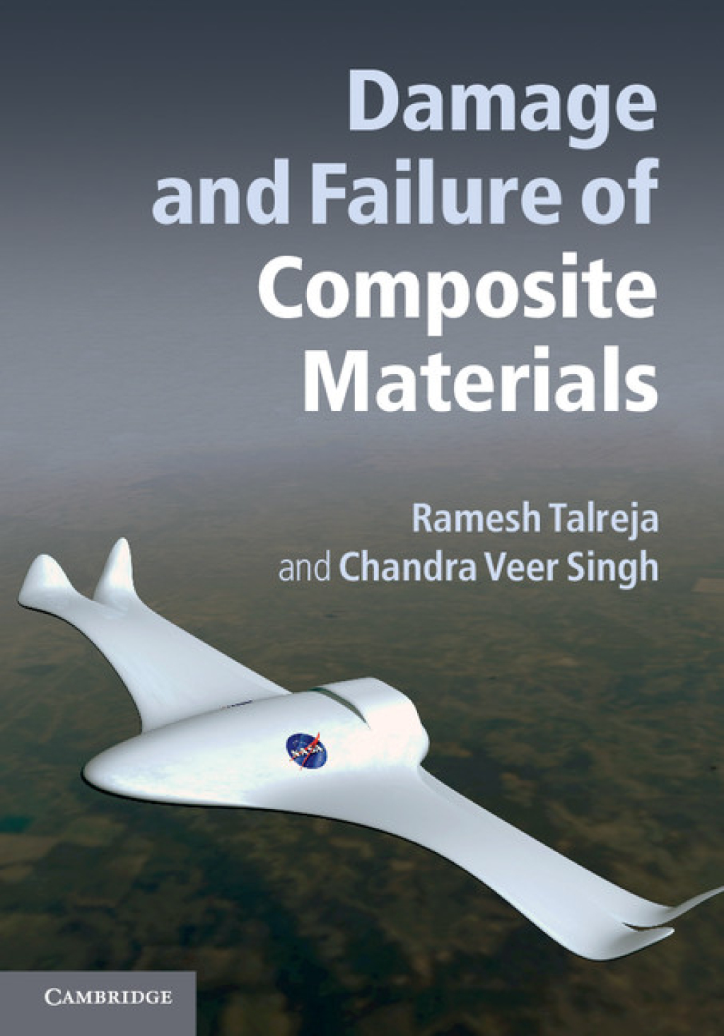 Damage and Failure of Composite Materials 1st Edition