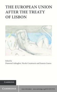 Imagen de portada: The European Union after the Treaty of Lisbon 1st edition 9781107017573