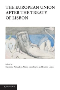 Imagen de portada: The European Union after the Treaty of Lisbon 9781107017573