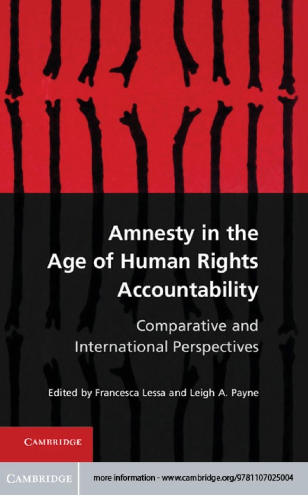 Amnesty in the Age of Human Rights Accountability Comparative and International Perspectives