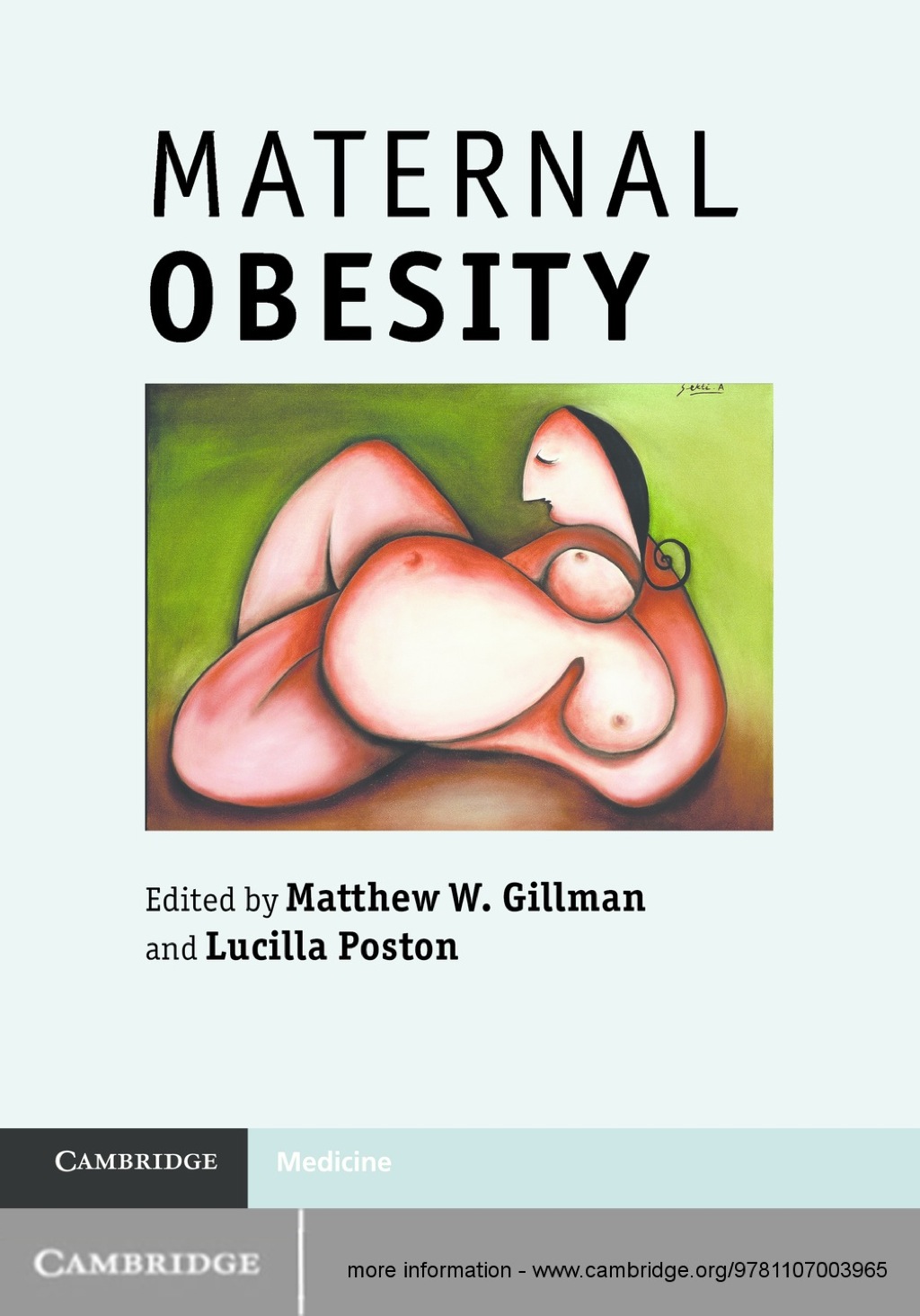 Maternal Obesity 1st Edition