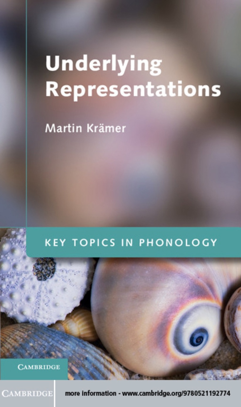 Underlying Representations (eBook)