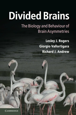 Imagen de portada: Divided Brains 9781107005358