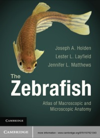 Omslagafbeelding: The Zebrafish 1st edition 9781107621343