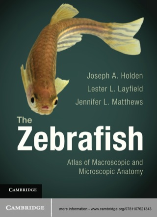 Cover image: The Zebrafish 1st edition 9781107621343