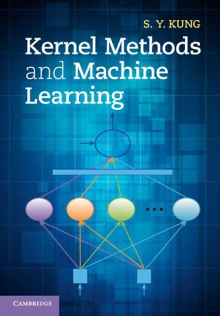Immagine di copertina: Kernel Methods and Machine Learning 9781107024960