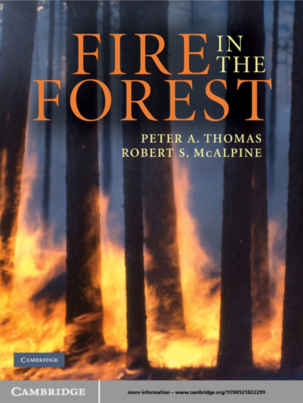Fire in the Forest 1st Edition