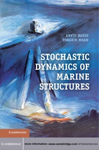 Imagen de portada: Stochastic Dynamics of Marine Structures 1st edition 9780521881555