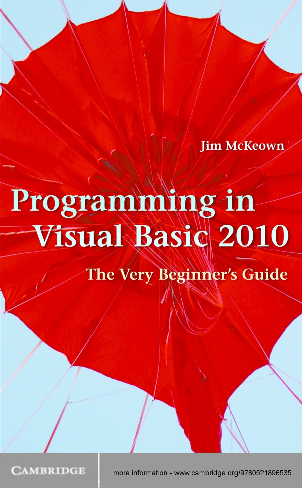 Programming in Visual Basic 2010 The Very Beginner’s Guide 1st Edition