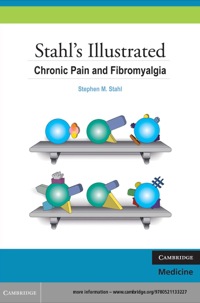 صورة الغلاف: Stahl's Illustrated Chronic Pain and Fibromyalgia 1st edition 9780521133227