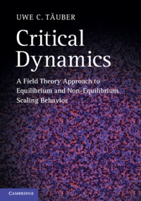 Imagen de portada: Critical Dynamics 1st edition 9780521842235