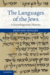 Imagen de portada: The Languages of the Jews 1st edition 9781107055445