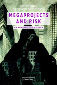 Imagen de portada: Megaprojects and Risk 1st edition 9780521009461
