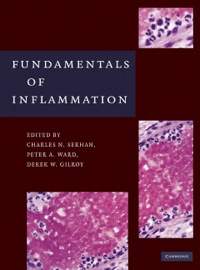 表紙画像: Fundamentals of Inflammation 1st edition 9780521887298