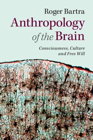 表紙画像: Anthropology of the Brain 1st edition 9781107060364