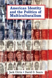 Cover image: American Identity and the Politics of Multiculturalism 1st edition 9780521828833