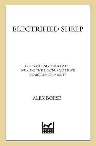Cover image: Electrified Sheep 9781250031709