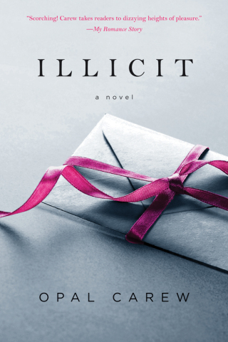 Imagen de portada: Illicit 9780312674625