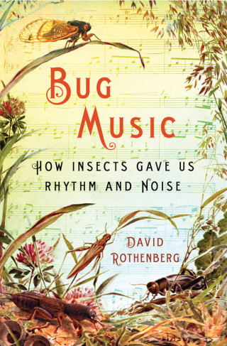 Cover image: Bug Music 9781250005212