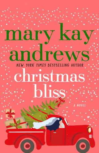 Cover image: Christmas Bliss 9781250136190