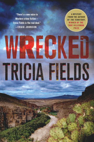 Imagen de portada: Wrecked 9781250021373