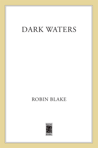 Cover image: Dark Waters 9781250006738