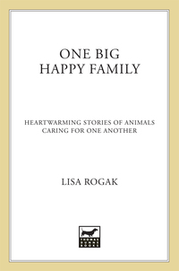 Cover image: One Big Happy Family 9781250035400