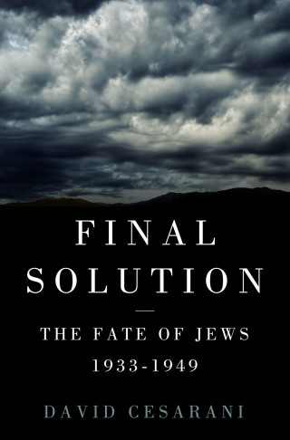 Imagen de portada: Final Solution 9781250000835