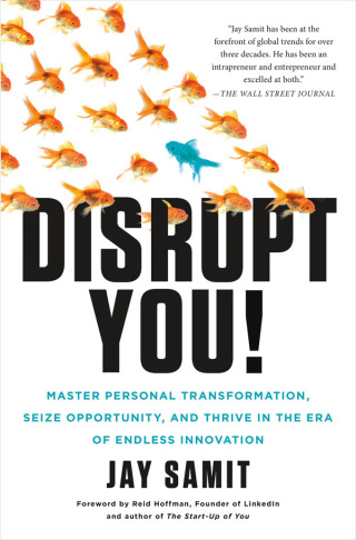 Cover image: Disrupt You! 9781250059376