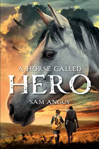 Cover image: A Horse Called Hero 9781250045089