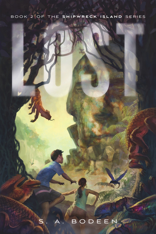 Cover image: Lost 9781250027795