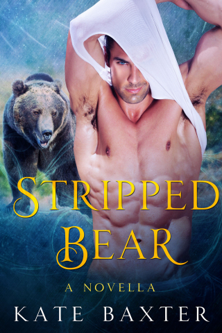 Cover image: Stripped Bear 9781250084262