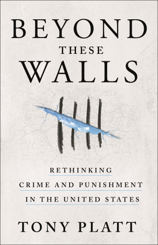Imagen de portada: Beyond These Walls 9781250085115