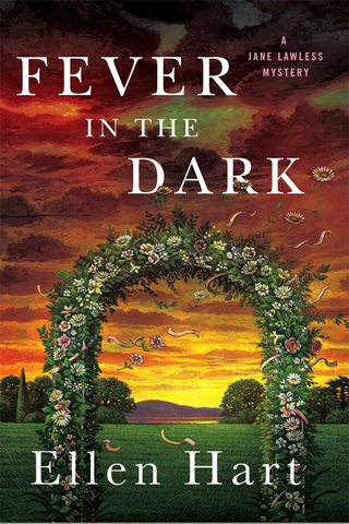 Imagen de portada: Fever in the Dark 9781250088635