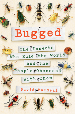 Cover image: Bugged 9781250095503